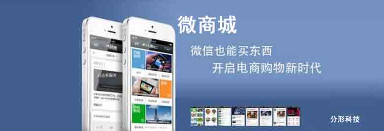 破解微商城網站開發的步驟