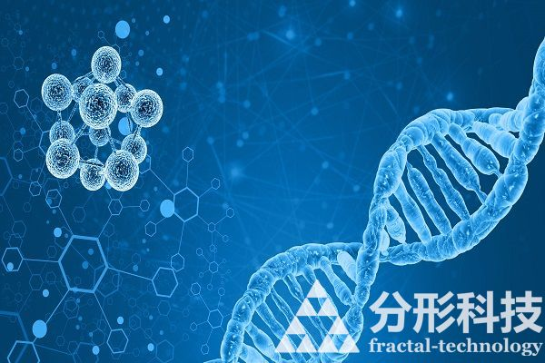 醫(yī)院網(wǎng)站建設：數(shù)字化健康服務新模式